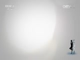 今日说法 《今日说法》 20151115 车祸疑云