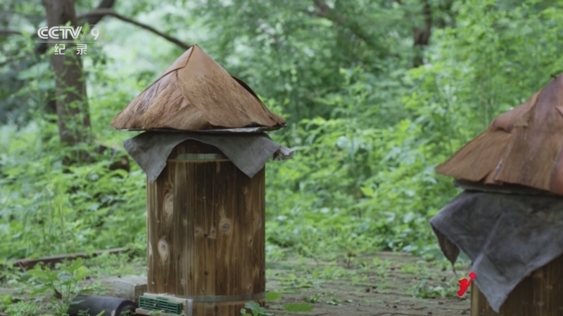 《玩的是古 第二季》 第2集