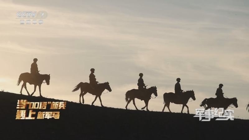 军事纪实 《军事纪实》 20240913 当“00后”新兵遇上新军马