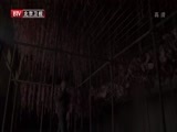 光阴 《光阴》 20150729 北京味道 后院秘道