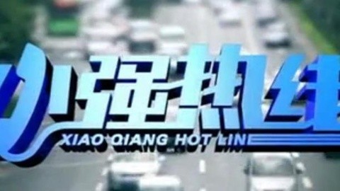小强热线 小强热线20150219