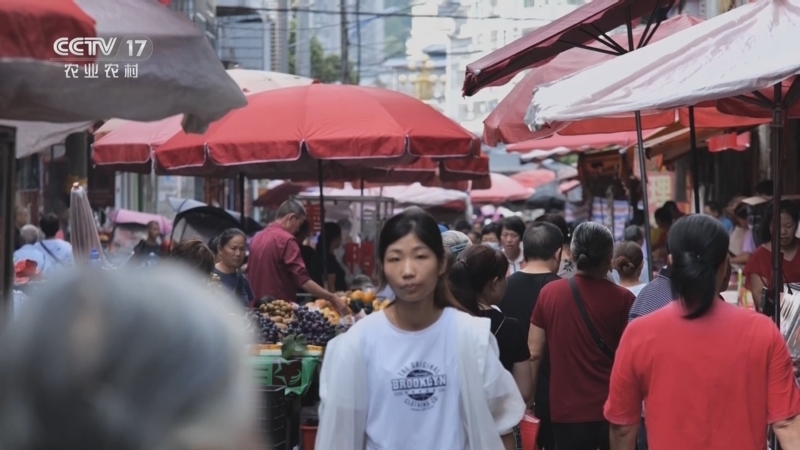 《谁知盘中餐》 20250605 开胃小吃夏意浓