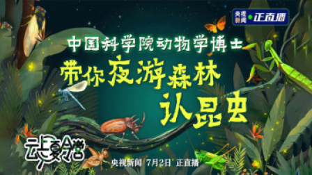 云上夏令营丨中国科学院动物学博士带你夜游森林认昆虫