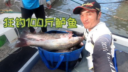 衢山岛海钓鲈鱼，买100块钱活虾钓了100多斤鲈鱼，能卖4000多