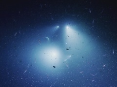 蓝色星球 第二季第2集：深海