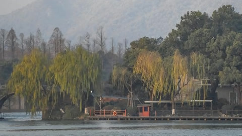 特别关注20210104