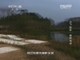 地理中国 《地理中国》 20140907 水下魅影-幽洞奇物