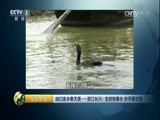 生财有道 《生财有道》 20170509 咱们家乡春天美——浙江长兴：生财依春水 妙手著文章