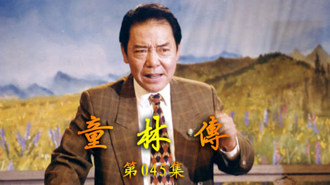 单田芳评书&mdash;&mdash;童林传 单田芳评书——童林传045集