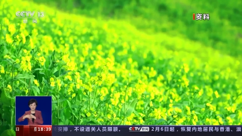共同关注 《共同关注》 20230203