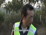 我爱发明 《我爱发明》 20180112 摆筒标兵