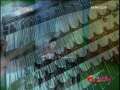 风华国乐 风华国乐 2009年 第258期