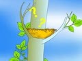 优秀儿童故事集 小鸟和牵牛花