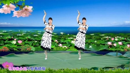 流行DJ广场舞及教学 第三季 甜美DJ广场舞《动了心的人》32步附教学