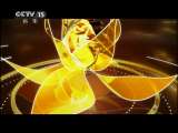 风华国乐 风华国乐 2011年 第117期