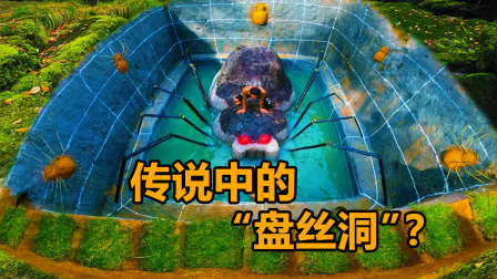 荒野建造者 第二季 哥俩学艺归来，在荒地盖了个昆虫泳池，大蜘蛛栩栩如生