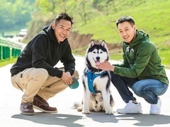 好汉两个伴 辛柏青变仆人惨遭驱逐 携“凶器”欲向王烈复仇