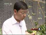 生财有道 《生财有道》 20110610 从博士后到蔬菜管家
