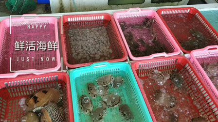 南澳岛赶海日记 汕头南澳岛这家餐厅刚开业，不知道价格怎么样，让我们给年轻的老板上一课