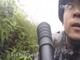 军事纪实 《军事纪实》 20160509 荣誉之战③