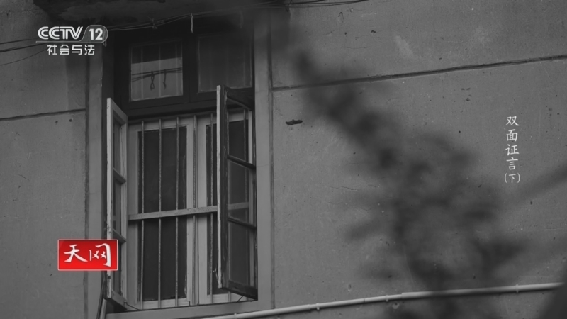 《天网》 20260205 双面证言（下）