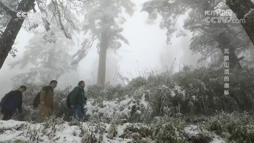 地理中国 《地理中国》 20190415 瓦屋山顶的奥秘