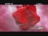 人与自然 《人与自然》 20140418 自然启示 动物身体揭秘-挑战极限（上）