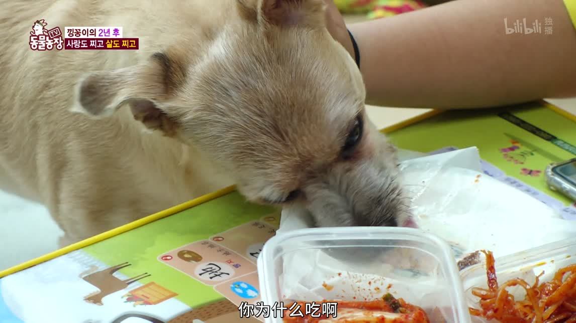动物农场2020 运算小天才