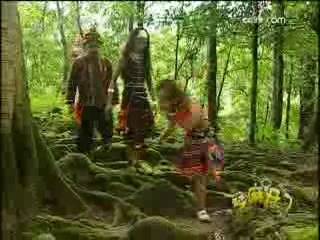 芝麻开门【央视】 芝麻开门 2008年 第180期
