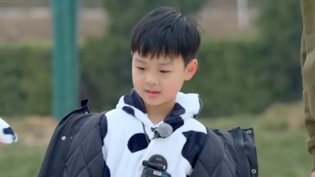 会员版：亲子游戏比赛 芋丸失误伤心不已