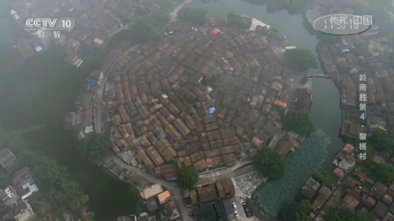 地理中国 《地理·中国》 20230420 岭南胜景4·黎槎村