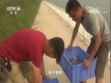 我爱发明 《我爱发明》 20180519 鱼之乐2