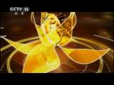 风华国乐 风华国乐 2011年 第105期