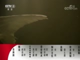 动物世界 《动物世界》 20180323 超级狮子家族
