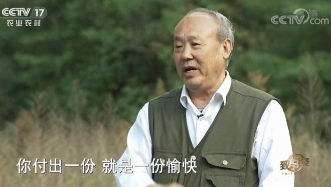 致富经 《致富经》 20191210 古稀老兵的深山财富