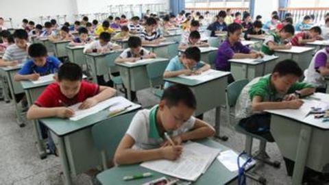小强热线 广州首创小升初免试入学