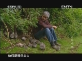 《鸟瞰地球》 第6集 展翅高飞