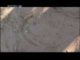 天网 天网 2010年 第246期 一辆神秘的皮卡车