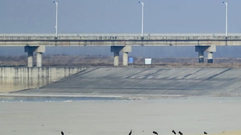 湖北新闻20210124