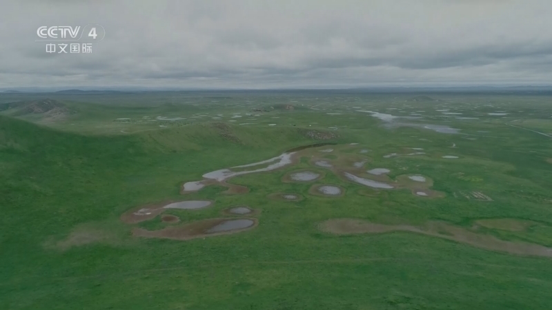 《远方的家》 20260410 中国自然秘境 万物共生 湿地欢歌