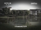 地理中国 《地理中国》 20140626 探秘莫干山（上）