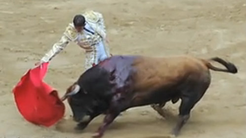 万万没想到 公牛是因为色彩愤怒吗？