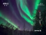 动物世界 《动物世界》 20180321 冬季传说·雪鸮