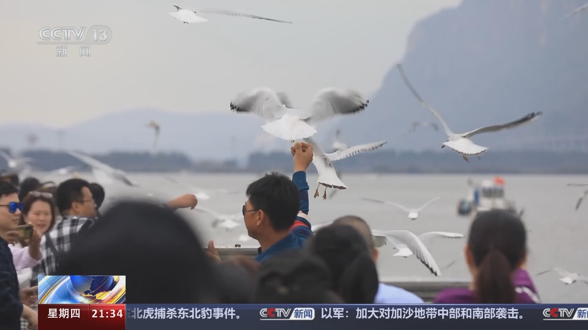 新闻1+1 《新闻1+1》 20231228 今年元旦，您如何跨年？
