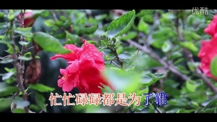 罗亚贵搞笑 第一季 广西励志神曲《为了你》