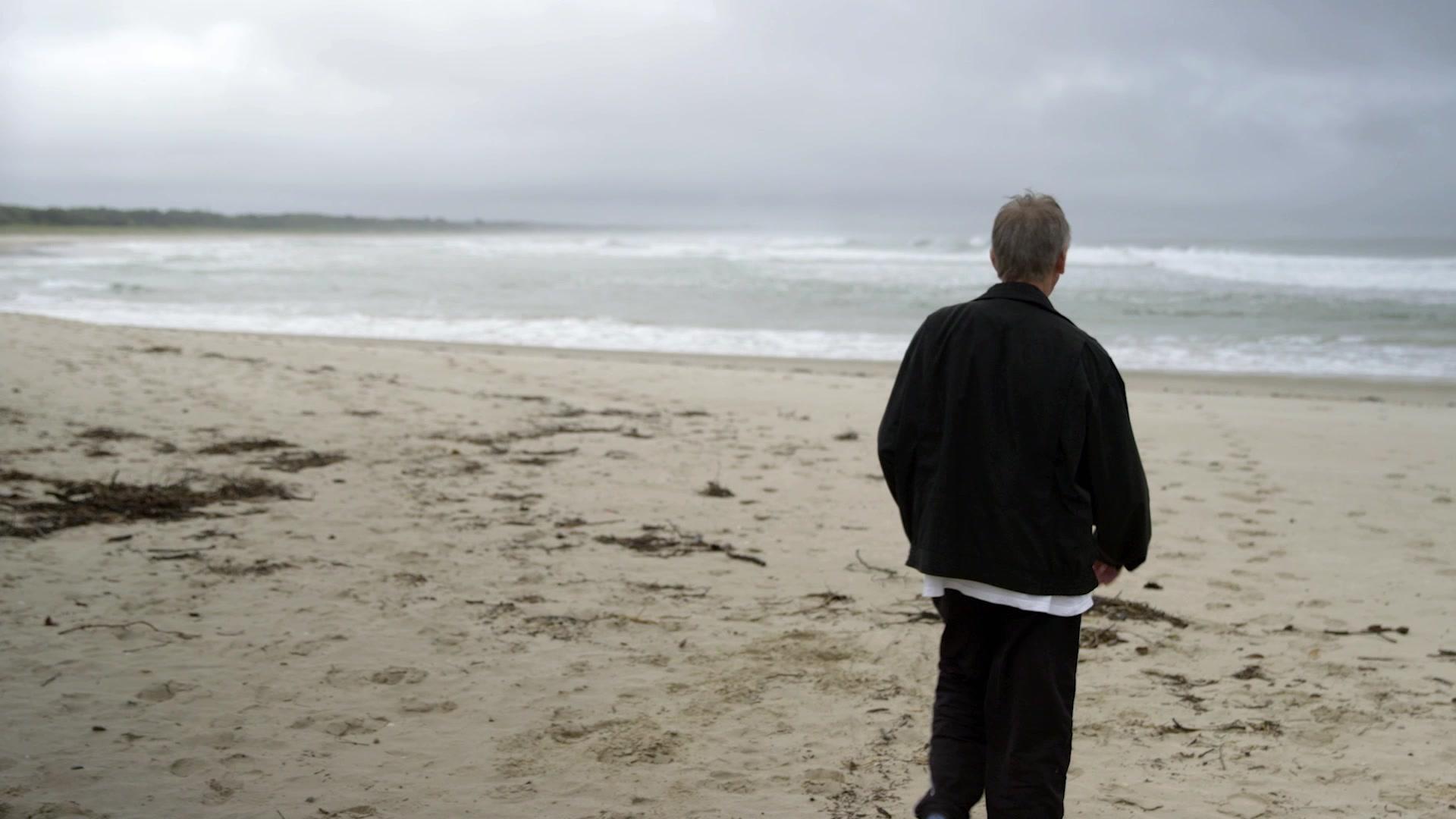 直击鲨鱼攻击第四季 第2集