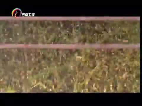 情暖人间 《情暖人间》 20160222 筑梦云南影像志 稻花飘香