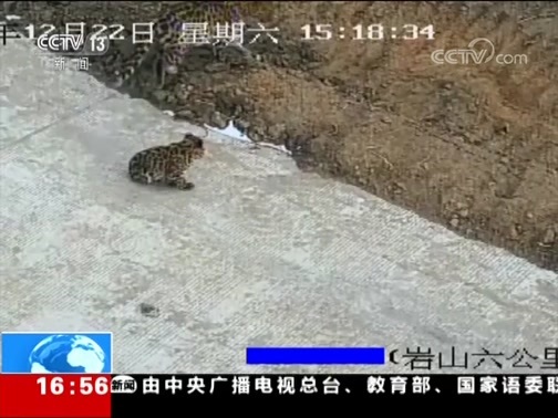 新闻直播间 《新闻直播间》 20181224 16:00