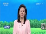 小区大事 《小区大事》 20170102 和谐春风满洛阳