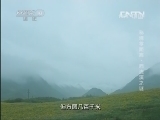 地理中国 《地理中国》 20131029 秘境零距离-西流溪之谜